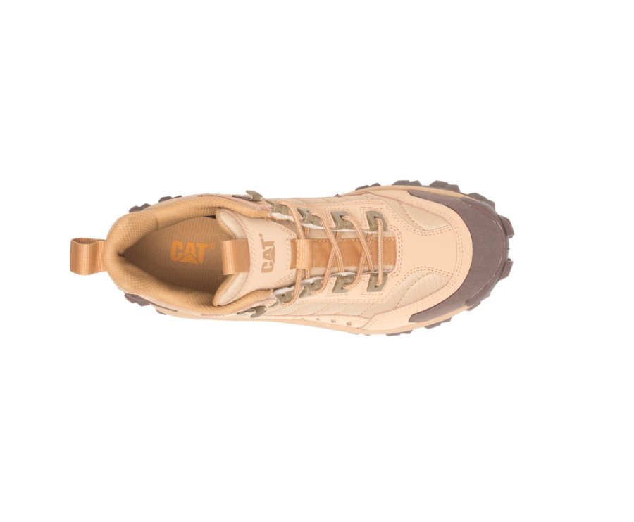 Zapatillas Caterpillar CAT Intruder Mid Mujer Marrones | CAT-421CR