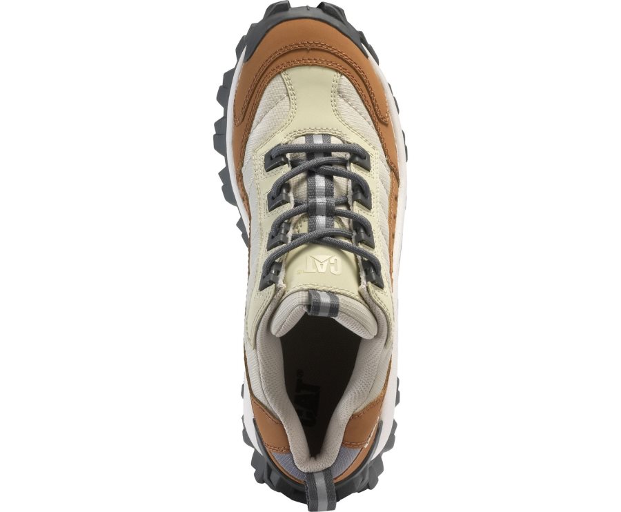 Zapatos Casuales Caterpillar CAT Intruder Shoe Hombre Marrones Beige | CAT-183YQ